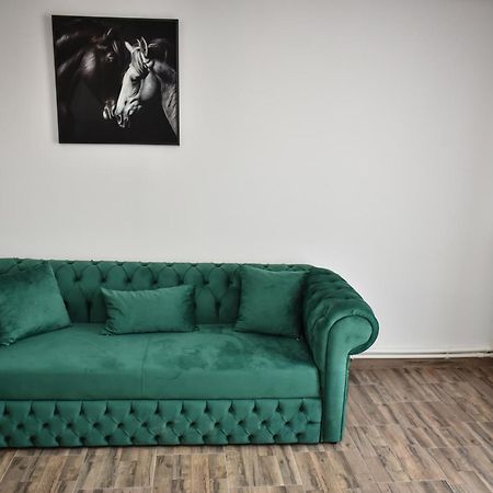 Apartament'S Moise 图尔达 外观 照片